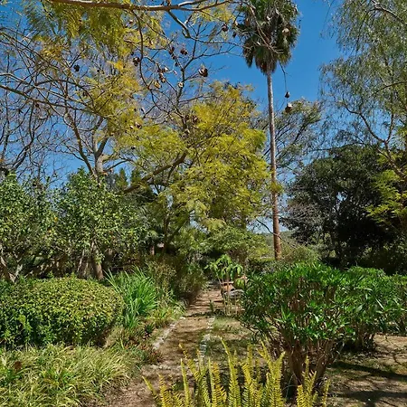 Quinta Da Colina - Garden